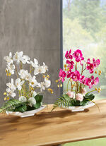 Orchideen-Arrangement in Schale WEISS