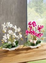 Orchideen-Arrangement in Schale ROSA