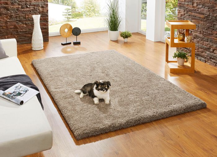 Kombistarke Br&uuml;cken, Galerien und Teppiche aus dichtgewebtem Shaggy-Flor 