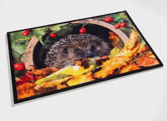 Fu&szlig;matte mit Igel-Motiv BUNT