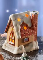 Winterliche Szene: Tolle Himmelsboten im Winterwald 