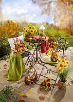 Laterne mit Beleuchtung 