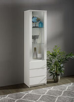 Vitrine in modernem Design 