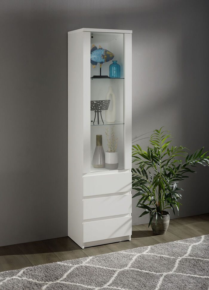 Vitrine in modernem Design 