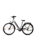 E-Bike Comfort Plus 5.0 von Saxonette 