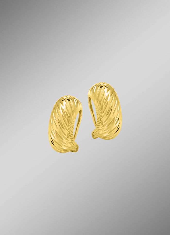 Stilvolle Raffinesse &ndash; elegante Ohrclips aus Silber 925/- fein 