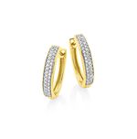 Schicke Creolen mit Diamanten 