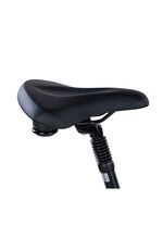 E-Bike Comfort Plus 5.0 von Saxonette 