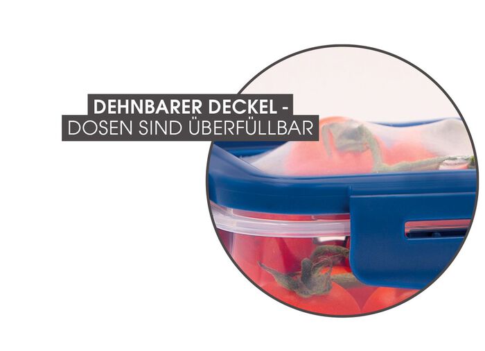 Livington Flex and Fresh Frischhalte-Set 