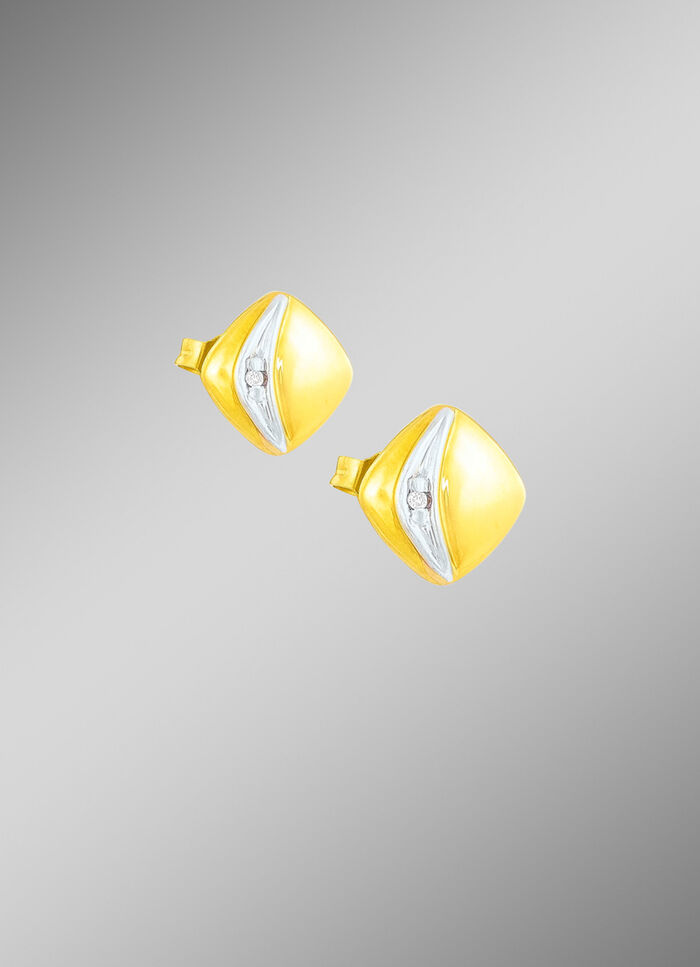 Hochglänzende Ohrstecker in Bicolor 