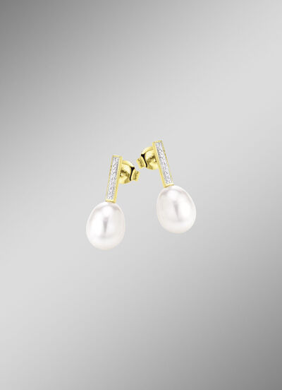 Strahlender Charme – Ohrstecker aus vergoldetem Silber 