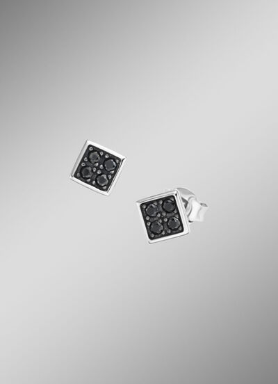 Stilvolle Ohrstecker in edlem Silber 