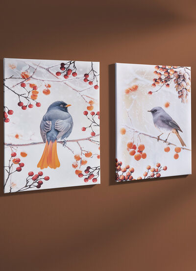 Bild Vogel des Jahres 2025 Hausrotschwanz auf Leinwand 