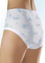 F&uuml;nferpack Slips mit Gummizug im Bund 