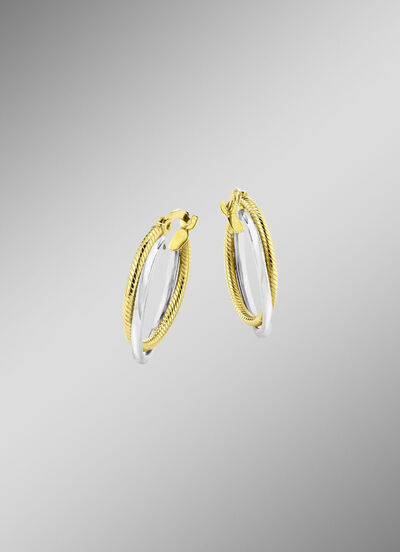 Glänzende Creolen in Bicolor, 2-reihig 