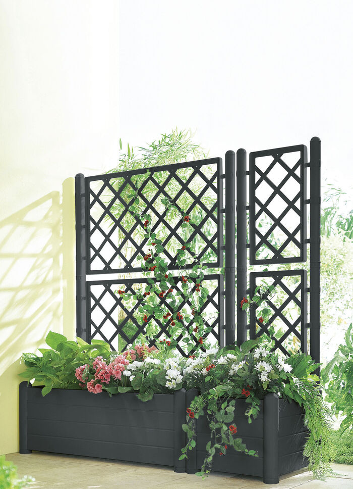 Pflanzkasten mit Spalierwand ANTHRAZIT