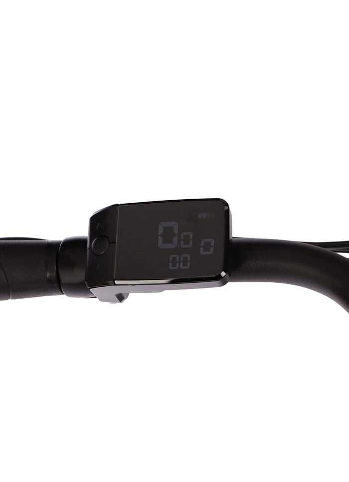 E-Bike Comfort Plus 5.0 von Saxonette 