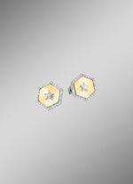 Ohrstecker in Bicolor mit 2 Brillanten und 60 Diamanten 