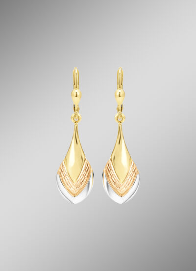 Bezaubernde Ohrringe in Tricolor 