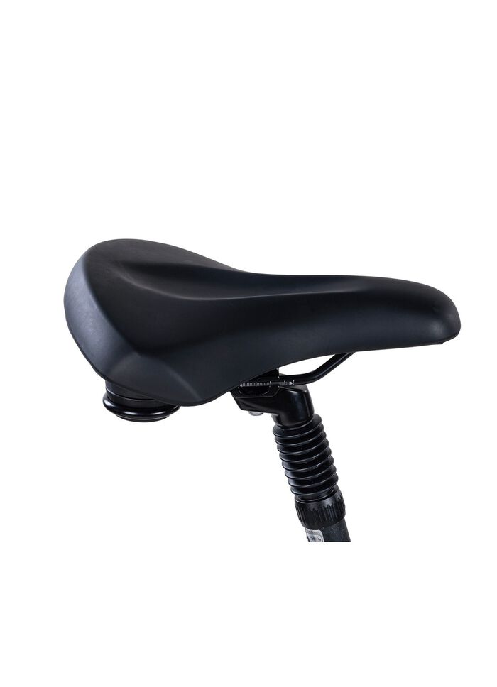 E-Bike Comfort Sport Easy von SAXXX 