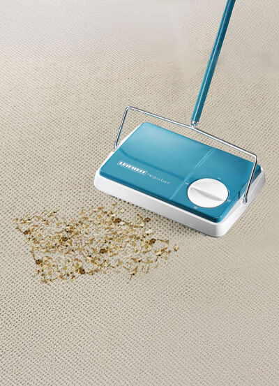 Leifheit Regulus Alleskehrer 