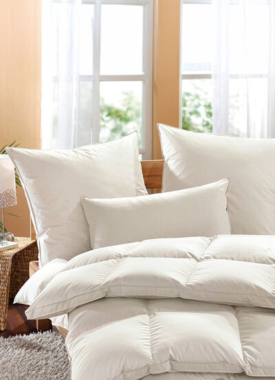 Exklusiver Schlafkomfort: Moschus Royal Kissen von Häussling 