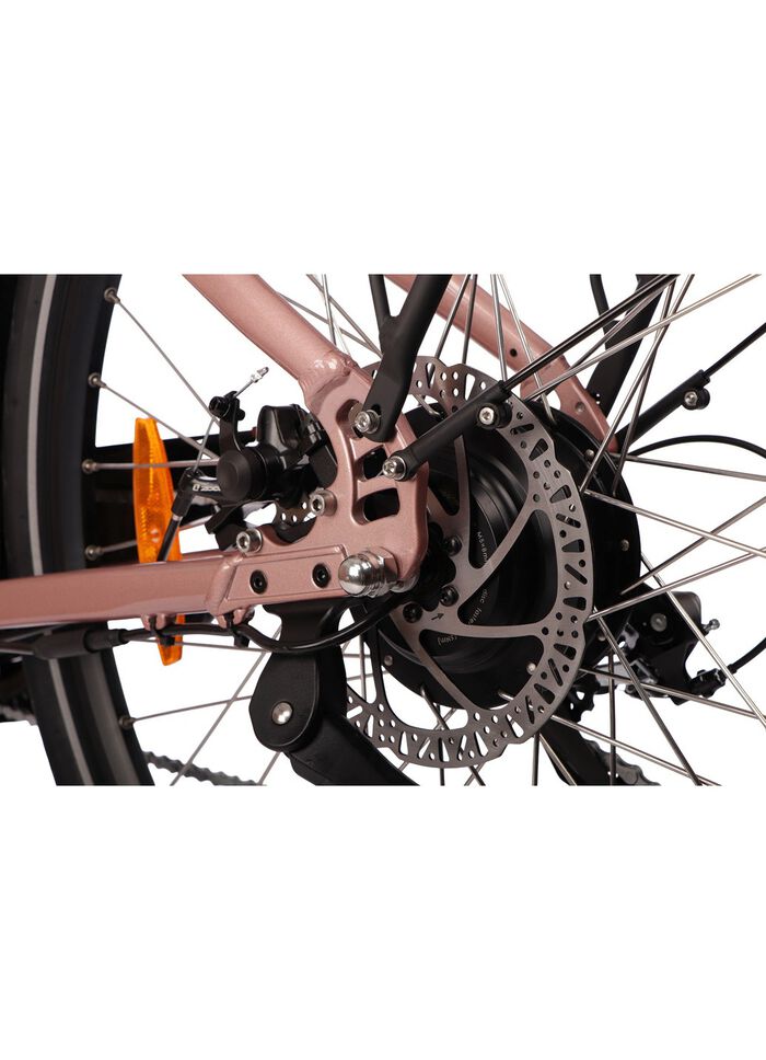 E-Bike Comfort Sport Easy von SAXXX 