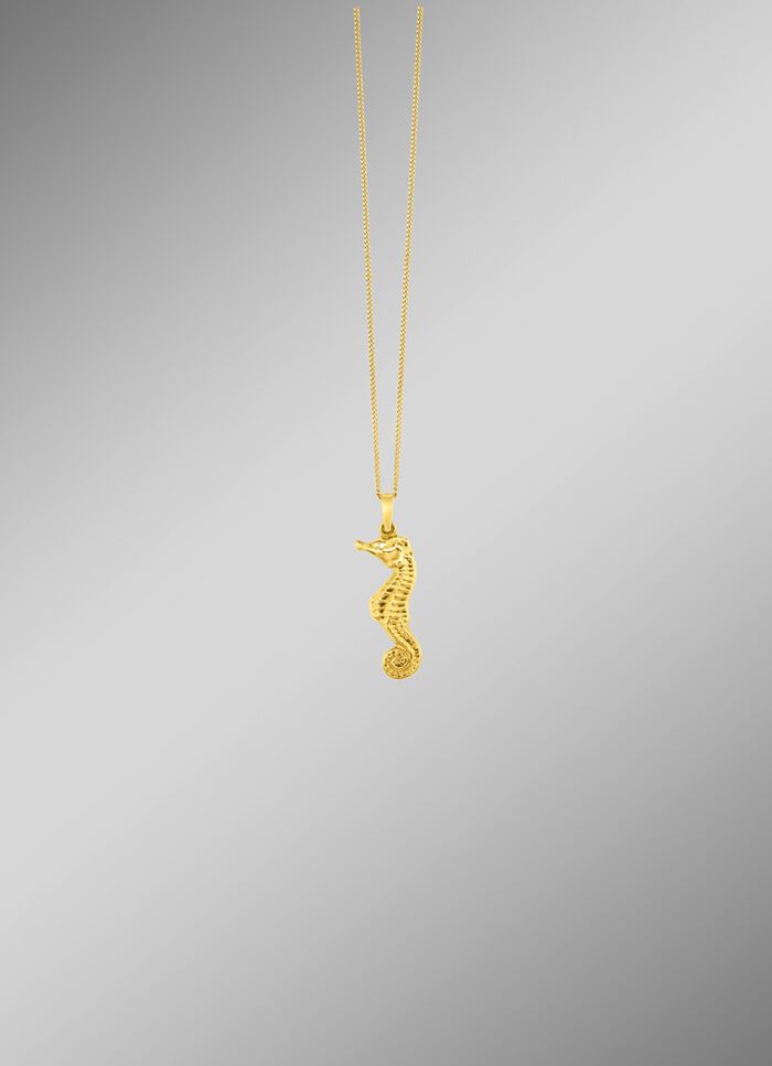 Seepferdchen-Anh&auml;nger mit Struktur 