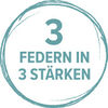BADERde_DE1Logo_3Federn