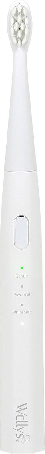 Schallzahnpflege-Set 