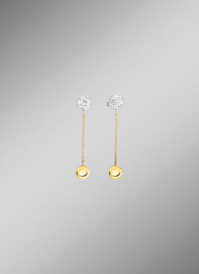 Wundersch&ouml;ne Ohrstecker in Bicolor 