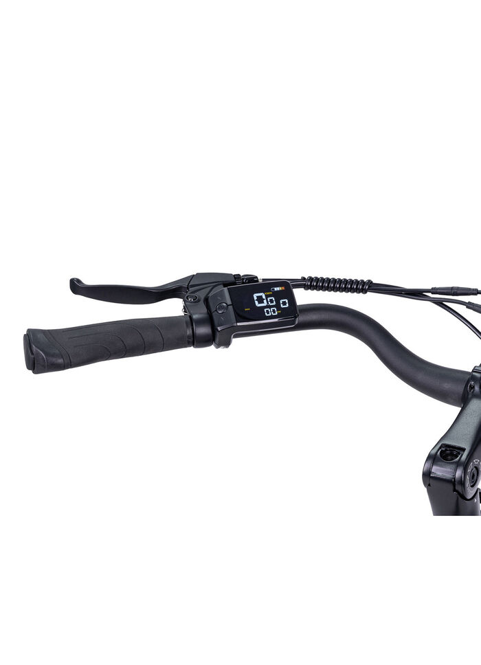 E-Bike Comfort Plus 5.0 von Saxonette 
