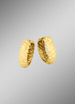 Tolle diamantierte Creolen 