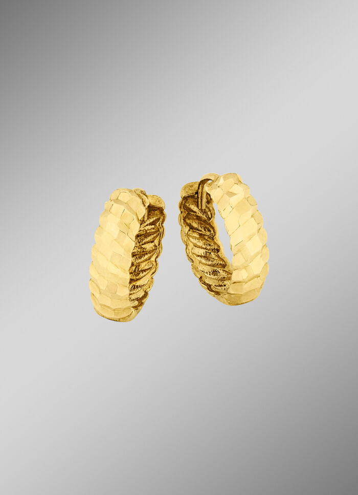 Tolle diamantierte Creolen 