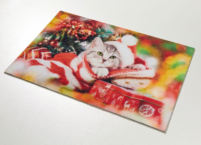 Fu&szlig;matte K&auml;tzchen mit rutschfester R&uuml;ckseite 