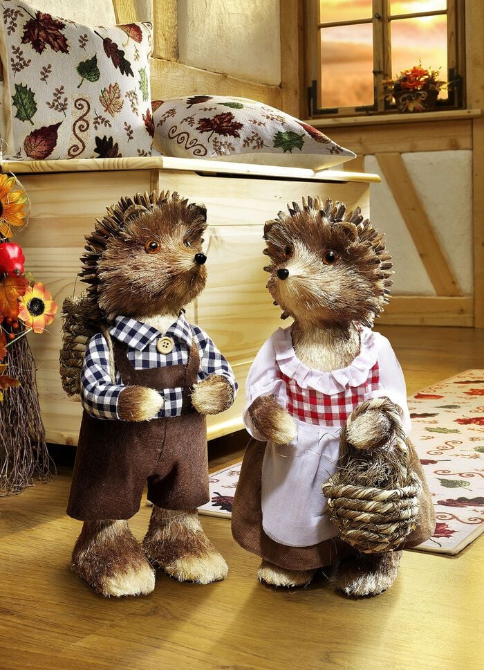 Igel in verschiedenen Ausf&uuml;hrungen BRAUN