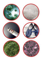 Luftreiniger mit HEPA-Aktivkohlefilter 