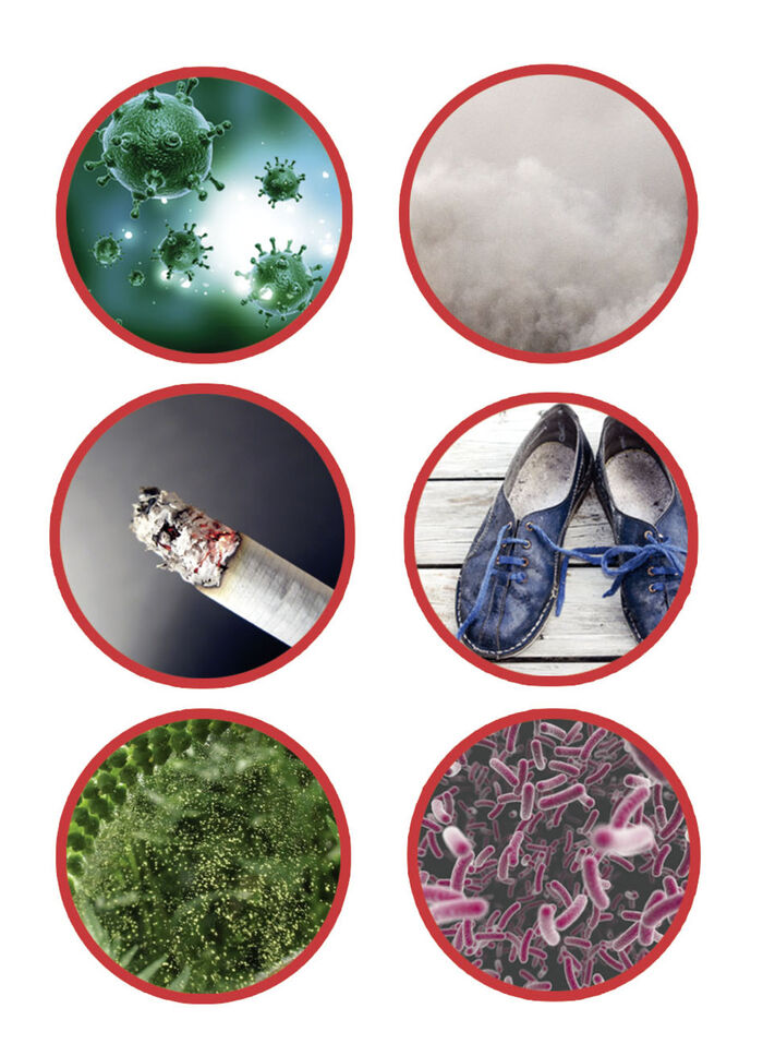 Luftreiniger mit HEPA-Aktivkohlefilter 