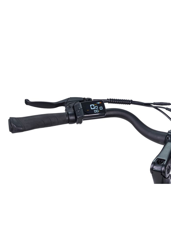E-Bike Comfort Plus 5.0 von Saxonette 