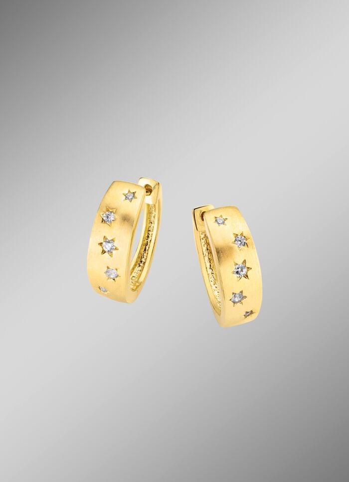 Hinrei&szlig;endes Paar Creolen 