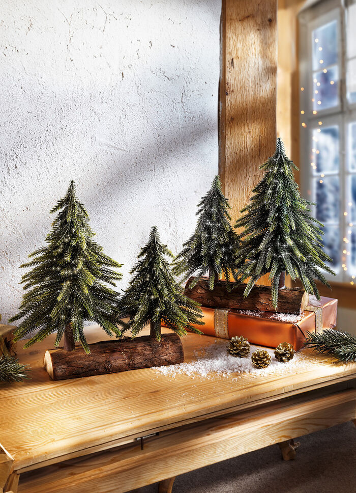 Tannenbäume auf Baumstamm 