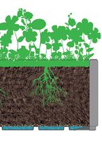 Pflanzkasten aus recyceltem Polypropylen WEISS