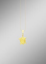 Toller Schildkröten Anhänger 