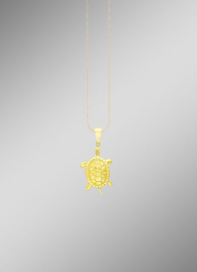 Toller Schildkröten Anhänger 