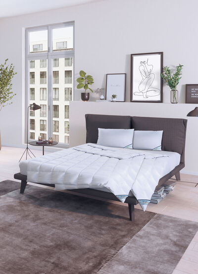 Daunenprogramm Antarktis von Spessarttraum 