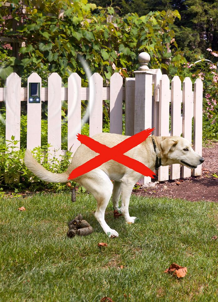 Solar-Tierabwehr Basic 