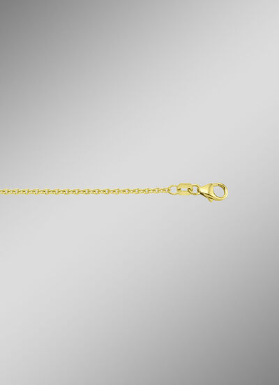 Ankerkette aus Gold 