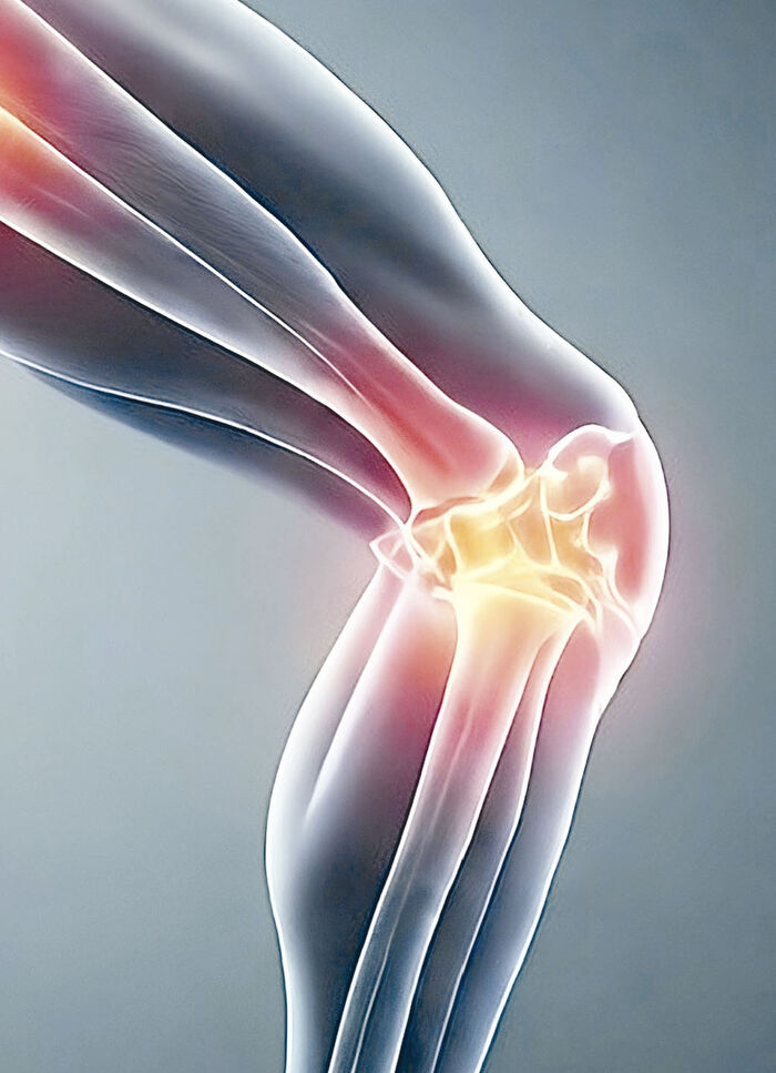 Knie- und Knöchelbandage ANTHRAZIT-SCHWARZ