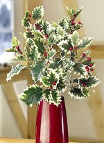 Ilex-Zweige, 3er-Set 