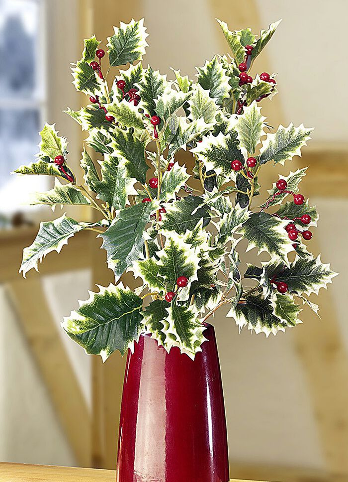 Ilex-Zweige, 3er-Set 